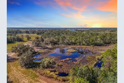 Pine Island Road, Clermont, FL 34711 - Photo 3