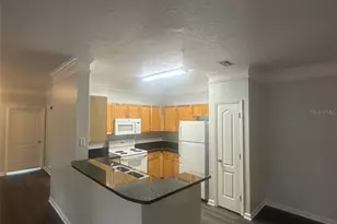 19935 Villa Isle Dr, Orlando, FL 32821 - Photo 5