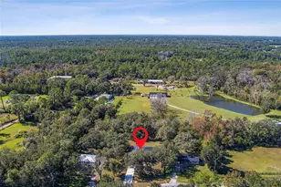 304 N Jungle Rd, Geneva, FL 32732 - Photo 49