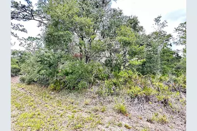 514 Indian Lake Drive, Indian Lake Estates, FL 33855 - Photo 3