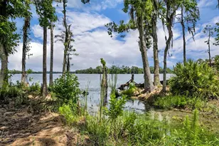 17537 Sailfin Dr, Orlando, FL 32820 - Photo 3