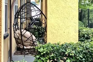 860 N Orange Ave, Orlando, FL 32801 - Photo 7