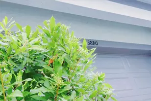 3880 Sonoma Blvd, Kissimmee, FL 34741 - Photo 7