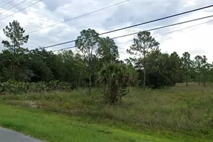 Caesar Ave, Orlando, FL 32833 - Photo 1