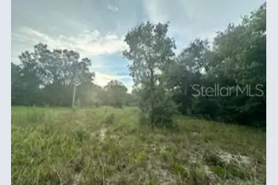 Nw 56th Court, Ocala, FL 34482 - Photo 1