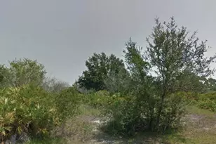 113 Edenwald Ave NW, Lake Placid, FL 33852 - Photo 1