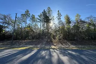 8161 N Triana Dr, Citrus Springs, FL 34434 - Photo 1