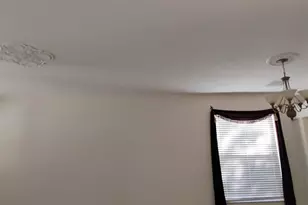 10415 Lucaya Dr, Tampa, FL 33647 - Photo 9