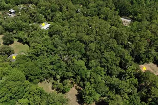 183 Parsons Rd, Longwood, FL 32779 - Photo 67