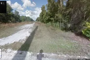 Schaub Ave, Orange City, FL 32763 - Photo 1