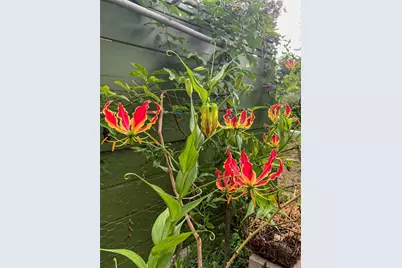 748 W Florence Avenue, Deland, FL 32720 - Photo 33