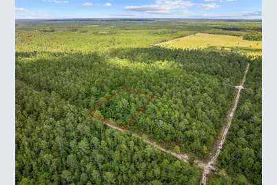 Crotty Avenue, Hastings, FL 32145 - Photo 7