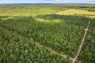 Crotty Ave, Hastings, FL 32145 - Photo 7