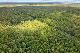 Crotty Ave, Hastings, FL 32145 - Photo 9