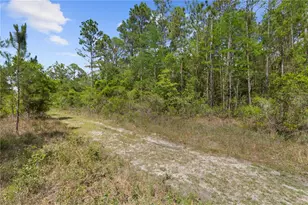 Crotty Ave, Hastings, FL 32145 - Photo 3