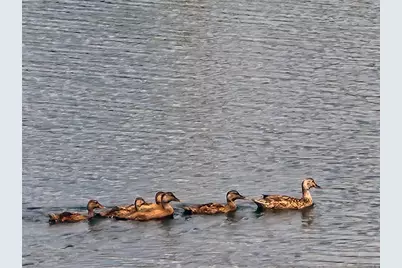 5107 Appenine Loop W, Saint Cloud, FL 34771 - Photo 5