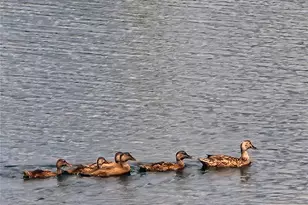 5107 Appenine Loop W, Saint Cloud, FL 34771 - Photo 5