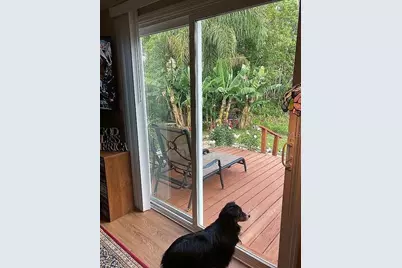 2808 Manatee Road, Tavares, FL 32778 - Photo 5