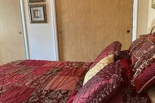 2808 Manatee Rd, Tavares, FL 32778 - Photo 19