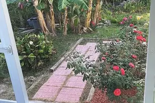 2808 Manatee Rd, Tavares, FL 32778 - Photo 31