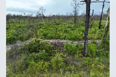 3520 Mariana Avenue, Lake Placid, FL 33852 - Photo 1