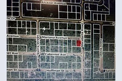 3520 Mariana Avenue, Lake Placid, FL 33852 - Photo 5