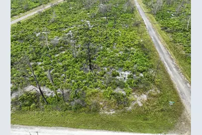 3520 Mariana Avenue, Lake Placid, FL 33852 - Photo 3