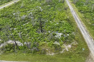 3520 Mariana Ave, Lake Placid, FL 33852 - Photo 3