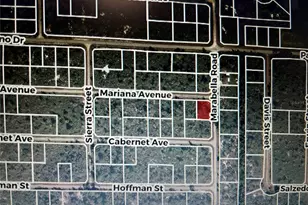 3520 Mariana Ave, Lake Placid, FL 33852 - Photo 1