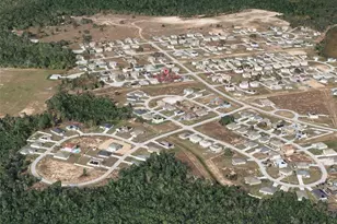 2305 Rio Grande Forest Ln, Kissimmee, FL 34759 - Photo 3