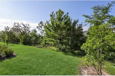 11632 Castine Street, New Port Richey, FL 34654 - Photo 35