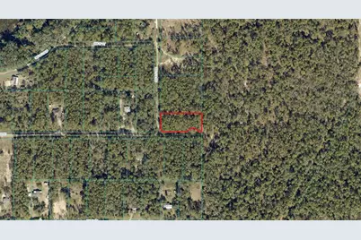 3895 SW 175th Terrace, Dunnellon, FL 34432 - Photo 3