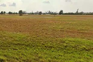 4 Calamondin Way, Placida, FL 33946 - Photo 1