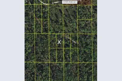 Sr-60, Lake Wales, FL 33898 - Photo 1