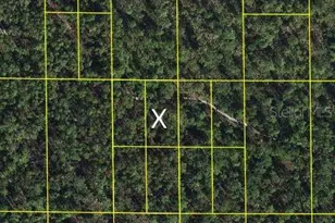 Sr-60, Lake Wales, FL 33898 - Photo 1