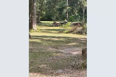 Tbd SW 111th Lane, Dunnellon, FL 34432 - Photo 5