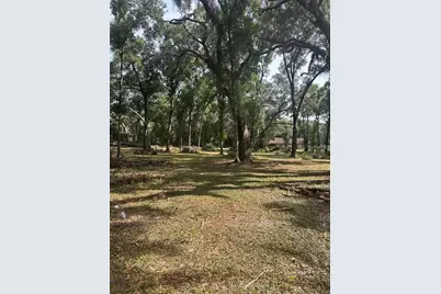 Tbd SW 111th Lane, Dunnellon, FL 34432 - Photo 1