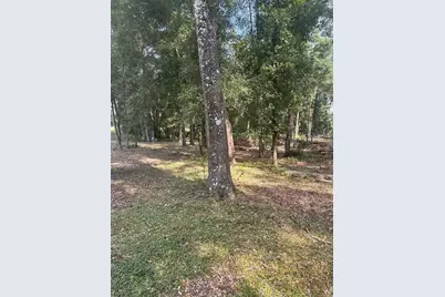 Tbd SW 111th Lane, Dunnellon, FL 34432 - Photo 7