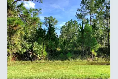 Sabal Street, Orlando, FL 32833 - Photo 1