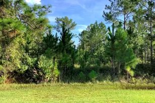 Sabal St, Orlando, FL 32833 - Photo 1