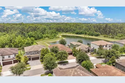 12784 Burns Drive, Odessa, FL 33556 - Photo 37