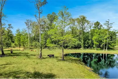 Tbd Corkwood Lane, Astatula, FL 34705 - Photo 1