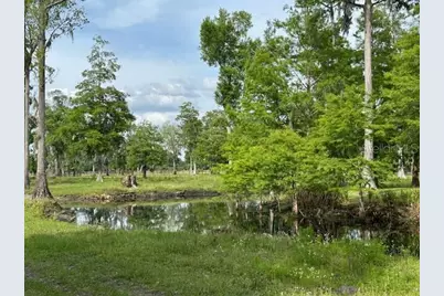 Tbd Corkwood Lane, Astatula, FL 34705 - Photo 17