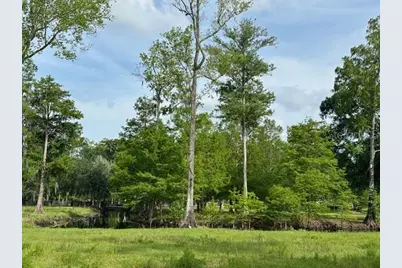 Tbd Corkwood Lane, Astatula, FL 34705 - Photo 13