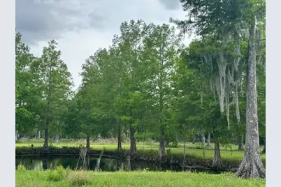 Tbd Corkwood Lane, Astatula, FL 34705 - Photo 39