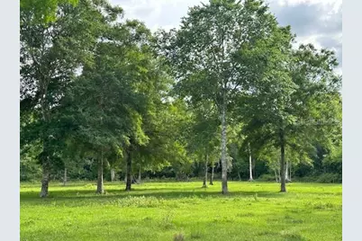 Tbd Corkwood Lane, Astatula, FL 34705 - Photo 23