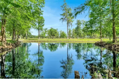 Tbd Corkwood Lane, Astatula, FL 34705 - Photo 3