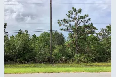 Oberly Parkway, Orlando, FL 32833 - Photo 1