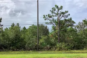 Oberly Pkwy, Orlando, FL 32833 - Photo 1