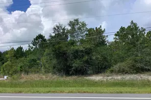 Dallas Blvd, Orlando, FL 32833 - Photo 1